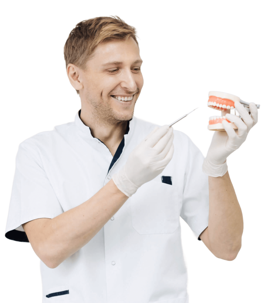 Dentist pregătind model dentar pentru demonstrație